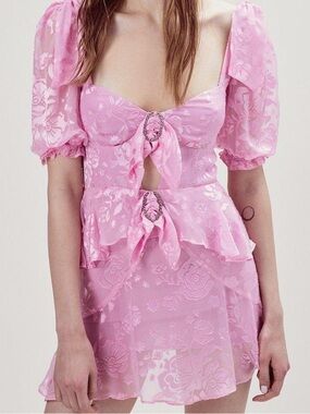 For Love & Lemons barbiecore dress
